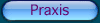 BgPraxis1a1
